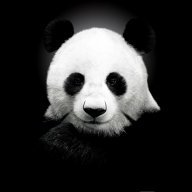 Любопытный